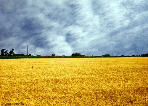 Cielos-y-campos-de-la-pampa-1.jpg