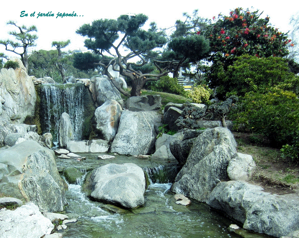 IMG_En_el_jardín_japonés3.gif