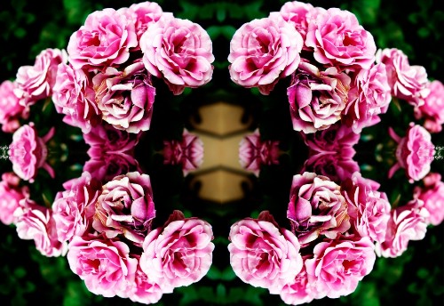 Caleidoscopio_Flores1.jpg