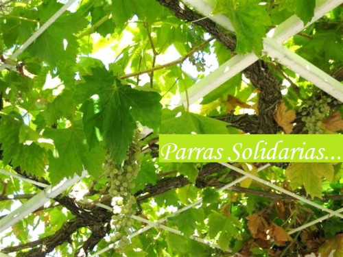 Parras_Solidarias.JPG