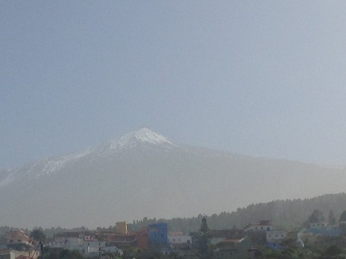 IMG_39351.JPG
