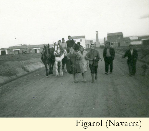 figarol_navarra.jpg