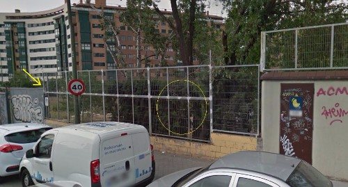 la verja y la pasión