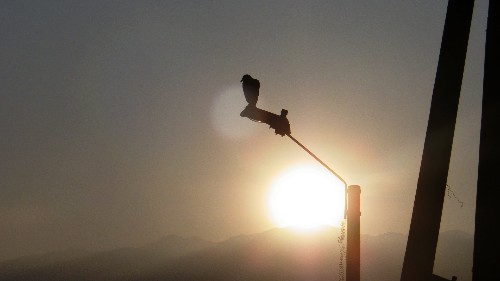 amanecer.jpg
