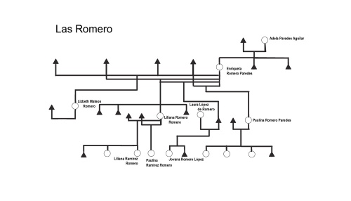 arbolgenealogicoFamHist.jpg