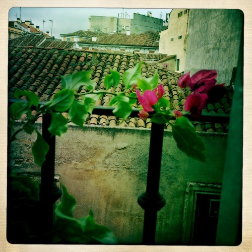 VISTAS DESDE REGUEROS, 13