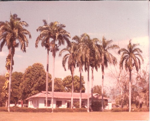 Palmas, gigantescos árboles de mango, casas heredadas de una antigua compañía y resolana...