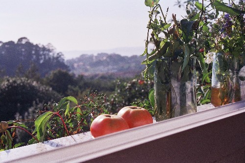 O_Campo,_desde_una_ventana.JPG